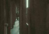 Film Gang GIF