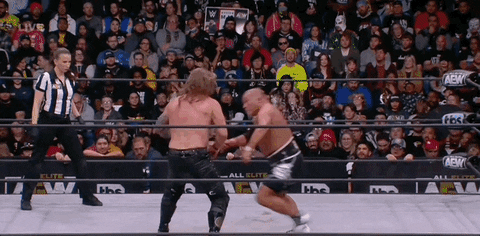 Chris Jericho Wrestling GIF by AEWonTV
