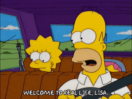 homer simpson GIF