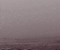 Hungry Snacks GIF by HarrisCountyPL