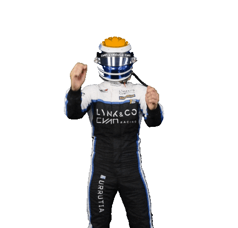 Fast Car Racing Sticker by FIA World Touring Car Cup