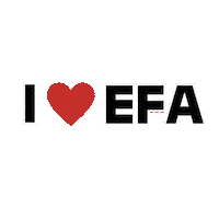 Europeanforumalpbach Sticker by EFA