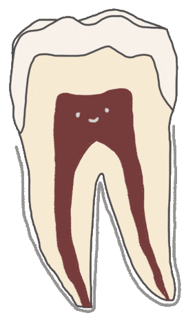 Teeth Tooth Sticker