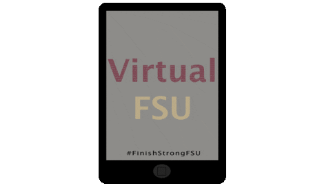 Iphone Screen Sticker by Florida State University