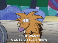 nickrewind nicksplat angry beavers GIF