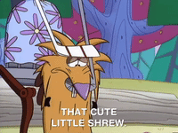 nickrewind nicksplat angry beavers GIF
