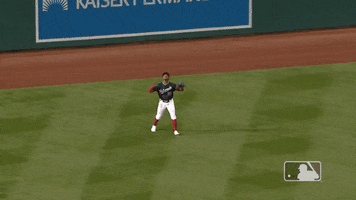 Major League Baseball Sport GIF by MLB