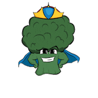 Latino Aurora Sticker by Sakata Seed America Inc.