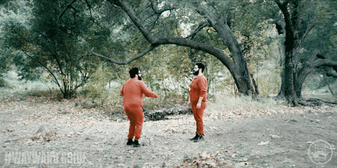 Wayward Guide GIF by Tin Can Bros