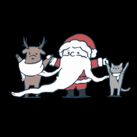 akkin_nge  GIF