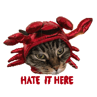 I Hate It Here Cat Sticker