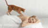 massage GIF