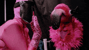 Masks Masked Singer Sneak Peek GIF by The Masked Singer