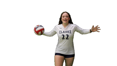 Womens Volleyball Heart Sticker by Clarke University