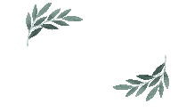 Bio Sticker by Biobotanic Care