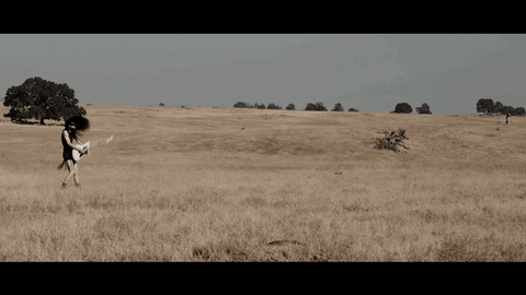 The Seafloor Cinema GIF by Pure Noise Records