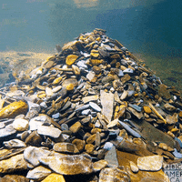 North America Sea GIF by BBC America