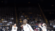 volleyball GIF by University of Iowa Hawkeyes Athletics