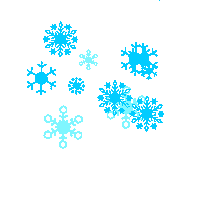 LifeSigner sticker snow winter snowflake Sticker