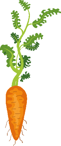 Carrot Vegetable Sticker by Hobbykokken