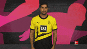 Borussia Dortmund Football GIF by Bundesliga