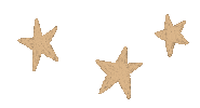 Illustration Star Sticker
