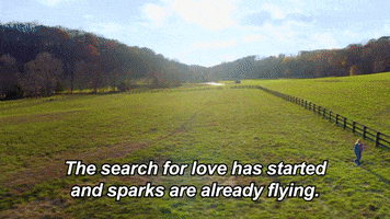 Dating Love GIF by Reality Club FOX