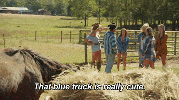 Dating Love GIF by Reality Club FOX