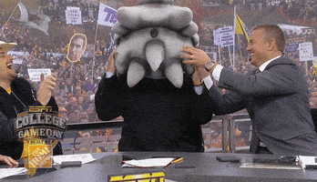 horned frogs tcu GIF by College GameDay