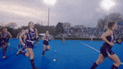 Field Hockey Wildcats GIF by Northwestern Athletics