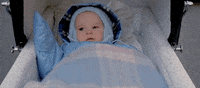 GIF by Ghostbusters 