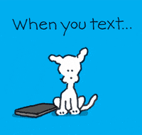 chippythedog chippythedog GIF