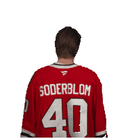 Wave Sticker by NHLBlackhawks