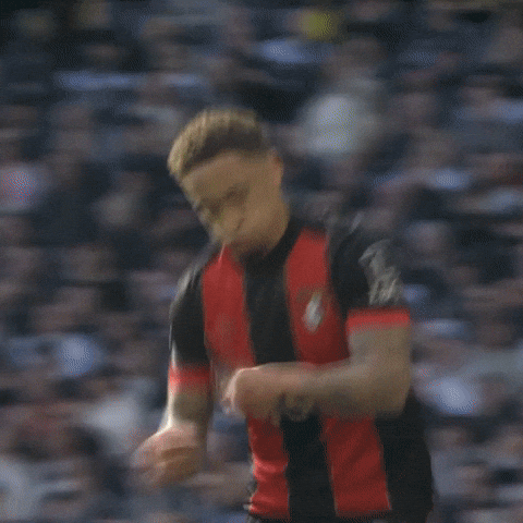 Premier League Football GIF by AFC Bournemouth