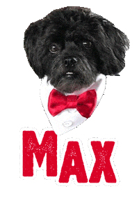 Dog Max Sticker