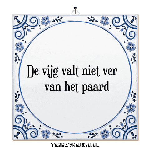 Nl Wijsheid Sticker by Tegelspreuken.nl