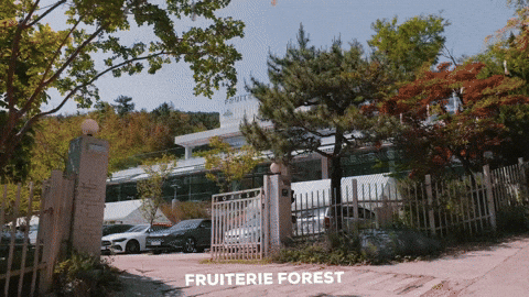 fruiterieforest fruiterie fruiterie forest 해운대카페 달맞이카페 GIF