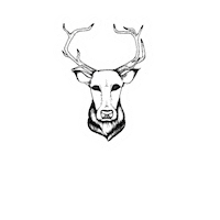 Bucksonbloor Sticker by Buck's Hard Goods
