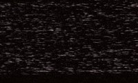 Strasno Trzan GIF