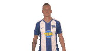 Hertha Bsc Football Sticker by Bundesliga