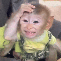 Xnica GIF