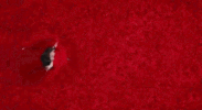season 13 abc GIF by The Bachelorette