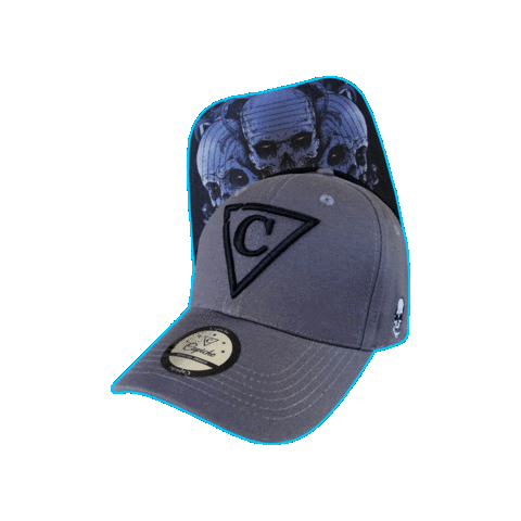 Baseball Hat Sticker by CapicheCaps