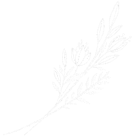 Flower Plant Sticker