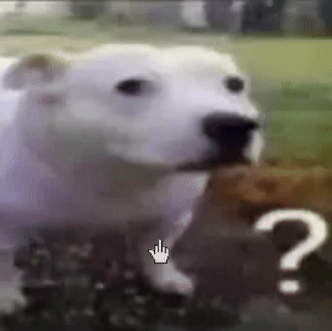 emry_gill giphyattribution giphycreatortest GIF