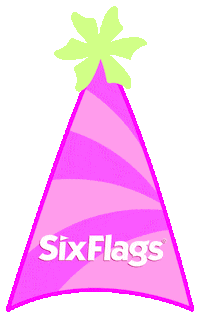 Party Birthday Sticker by Six Flags