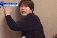 Super Junior Help GIF