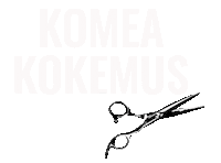 Komea Kokemus Sticker by GROOM Parturit