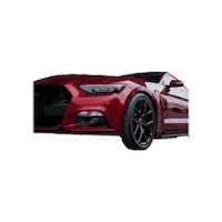 Arexmustang2015 Sticker by AlpharexUSA