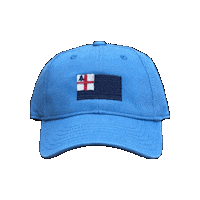 Junebugcharlestown flag boston junebug charlestown Sticker